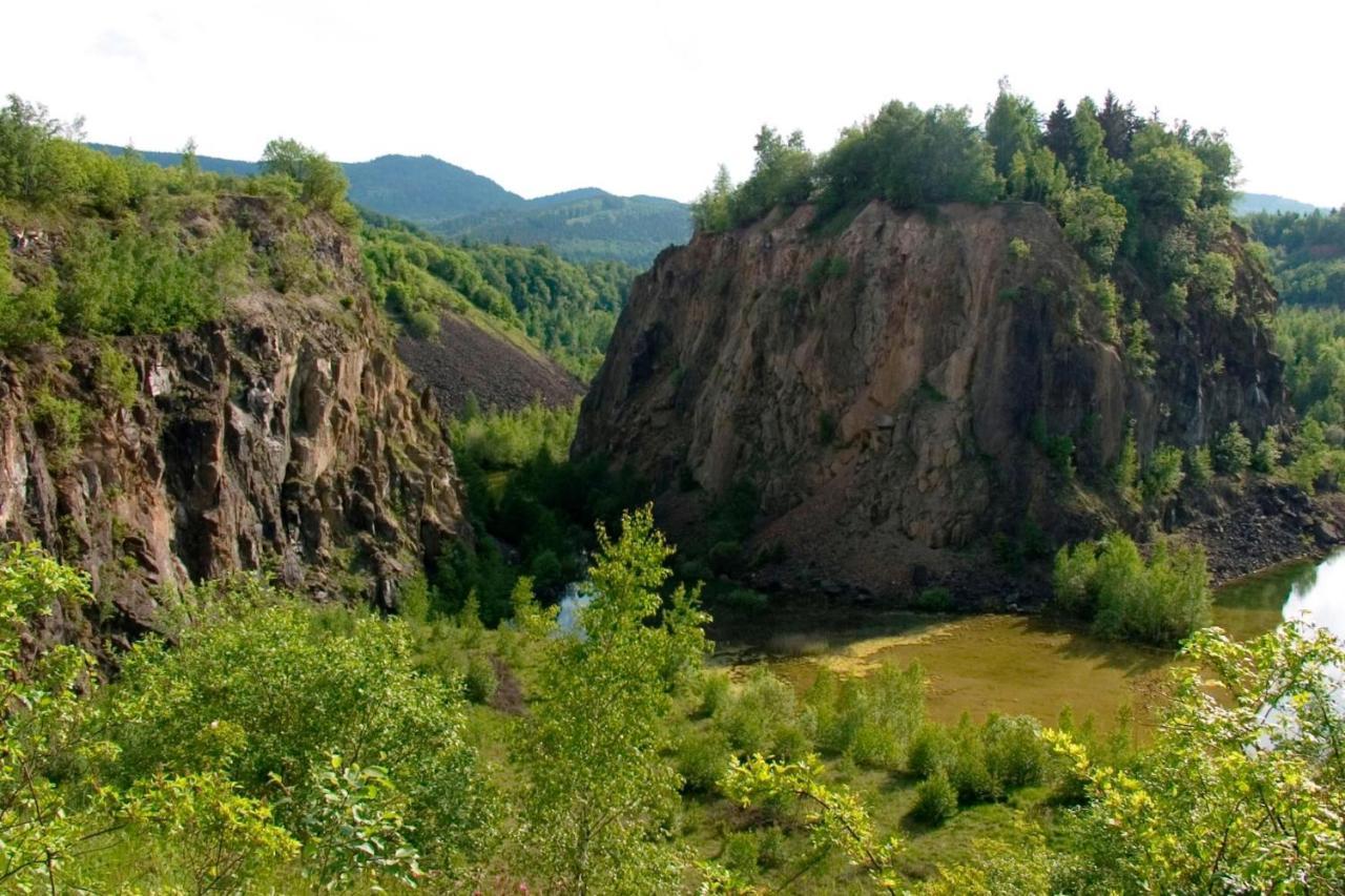 Ferienwohnung Am Wald 朗格尔斯海姆 外观 照片